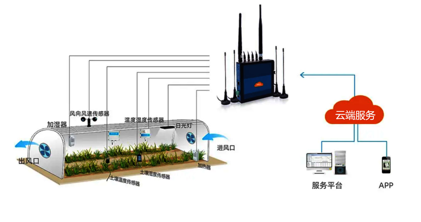 1747990581118468.jpg 23121.jpg